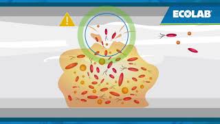 Synergex Sanitizer amp Disinfectant Biofilm Formation [upl. by Stromberg]