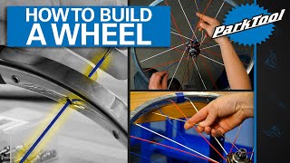 How To Build A Bicycle Wheel [upl. by Trueman]