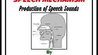 Production of Speech Sounds [upl. by Byrann]