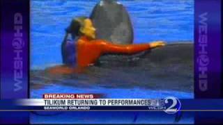 Whale That Killed Trainer Returning To SeaWorld Shows [upl. by Bamberger]