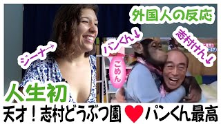 【外国人の反応】志村どうぶつ園はすごい！プラスおでん食べるパンくん可愛すぎ♥ [upl. by Terena]