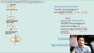 Generalized transduction vs Specialized Transduction [upl. by Aalst377]