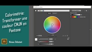 Gratuit Illustrator Transformer une couleur CMJN en Ton Direct [upl. by Constantine]