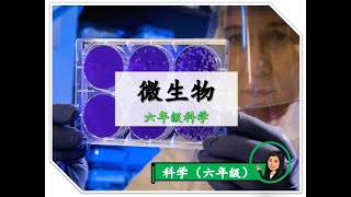 【六年级科学】 ｜ 第三课《微生物》｜附送笔记 [upl. by Karalynn10]