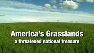 Americas Grasslands A Threatened National Treasure [upl. by Meehsar]