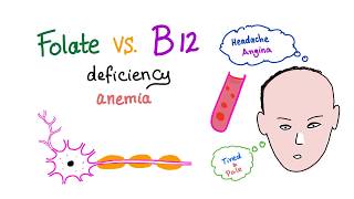 Folate Deficiency vs Vitamin B12 Deficiency  Diet and Nutrition  Hematology [upl. by Campagna311]