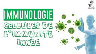 Immunologie  les Cellules de lImmunité Innée [upl. by Anonyw]