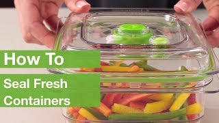 How To Seal Fresh Containers  FoodSaver® [upl. by Lumbye]