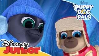 Puppy Dog Pals 🐶  Magical Moment Antarctic Adventure  Official Disney Channel Africa [upl. by Largent132]