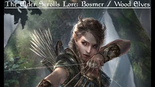 The Elder Scrolls Lore The Bosmer  Wood Elves [upl. by Schulz159]