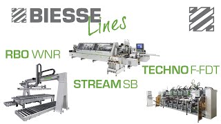 Biesse Lines  RBO WNS  STREAM SB  TECHNO  Automatic Panel Production [upl. by Aehsila479]