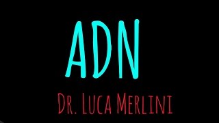 Estructura del ADN Ácido Desoxirribonucleico [upl. by Toddy]