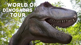 🔴 LIVE at the ZOO World of Dinosaurs [upl. by Rehoptsirhc]