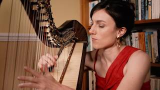 Jazz Harp Take Five by Tamsin Dearnley on a Teifi Eos Harp [upl. by Lotsirk280]