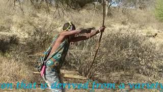 Hadzabe tribe the last hunters and gatherers of Tanzania  Edited by Carmine Salituro [upl. by Falda]