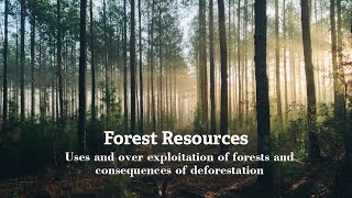 Forest Resources uses and over exploitation of forests and consequences of deforestation [upl. by Aldous]