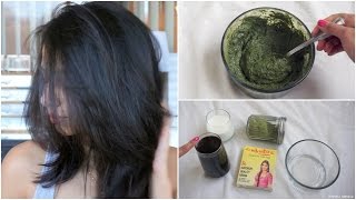 How to Apply Henna to hair at Home [upl. by Amerak]