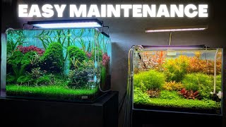 AQUARIUM MAINTENANCE FOR BEGINNERS  QUICK AND SIMPLE [upl. by Annemarie991]