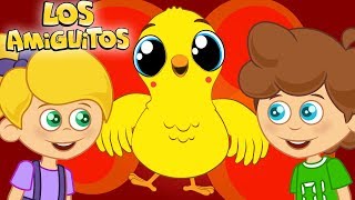 El Pollito Pio Pio Cancion Infantil las mejores  Los Amiguitos [upl. by Rrats]