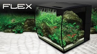 Fluval Flex 9 amp 15 US Gal Aquarium [upl. by Heiskell]