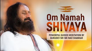 Powerful Om Namah Shivaya Chanting Meditation By Gurudev Sri Sri Ravi Shankar  Lord Shiva Mantra [upl. by Tjaden]