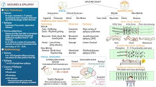 Seizures amp Epilepsy Overview [upl. by Aratahs]