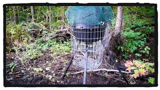 Moultrie Deer Feeder Cage  Protection From Squirrels and Raccoons [upl. by Abbie]