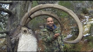 IBEX BEZOAR HUNT in TURKEY MRZUBEYIR BORUampTURKISH FRONTIER [upl. by Kellby648]