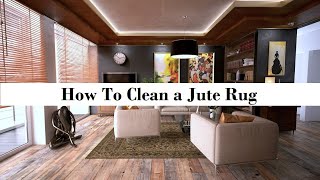 ✅✅How To Clean A Jute Rug Proper Cleaning Detail [upl. by Brande]