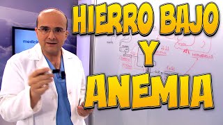 HIERRO BAJO y ANEMIA  Enfermedades 37 [upl. by Duwad]