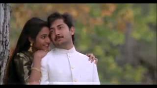 Roja Janeman Tu Hi Arvind Swamy Madhoo Roja Movie Songs S P Bala A R Rahman Hits Sushovan [upl. by Maccarone383]