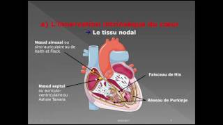 le systeme cardiovasculaire [upl. by Eiznikam]