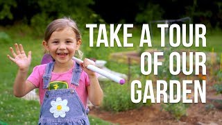 How To Start A Vegetable Garden  Gardening Tips [upl. by Nodyroc]