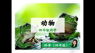 【四年级KSSR SEMAKAN科学】 ｜ 第三课《动物》｜附送笔记 [upl. by Wolfson]