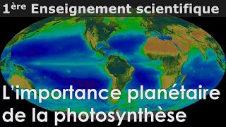 Importance planétaire de la photosynthèse  Enseignement scientifique  1ère [upl. by Yenalem789]