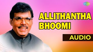 Allithantha Bhoomi Audio Song  Nandu  Malaysia Vasudevan  Ilaiyaraaja Hits [upl. by Lirba]