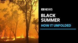 One year on ABC News looks back at how Australias Black Summer bushfire crisis unfolded  ABC News [upl. by Artened266]