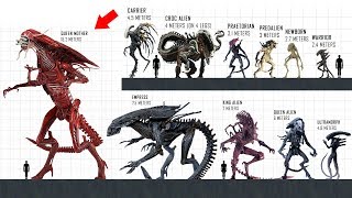 XENOMORPH Size Comparison [upl. by Putnem568]