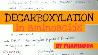 Amino Acid Decarboxylation Test  Microbiology Lab [upl. by Lumbye]