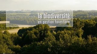 Prendre en compte la biodiversité en gestion forestière [upl. by Renat]