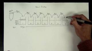 Concentrations Part 5  serial dilution [upl. by Nnylirret]