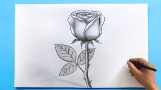 ROSE Drawing Easy 🌹 How to Draw a Rose step by step [upl. by Latif]