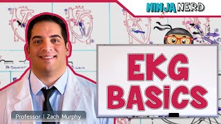 Cardiovascular  EKG Basics [upl. by Jeremias]