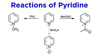 Heterocycles Part 2 Pyridine [upl. by Eelrefinnej972]