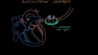 Cardiovascular exam  appareil cardio vasculaire part12 [upl. by Saylor]