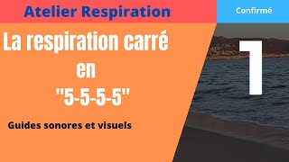 🤿 Respiration Carrée 5555 ou Sama Vritti [upl. by Betsey616]