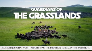 Guardians of the Grasslands [upl. by Eidnil]