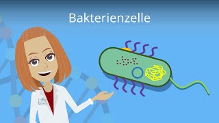 Bakterienzelle  Aufbau amp Funktion einfach erklärt  Studyflix [upl. by Eoin]