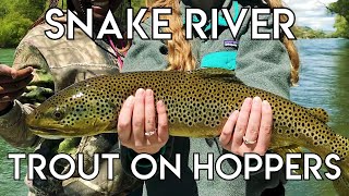 Epic Snake River Hopper Fishing [upl. by Aitnahs]