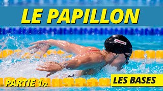 TUTO PAPILLON  COMMENT APPRENDRE À NAGER LE PAP  partie 12 [upl. by Kesley791]